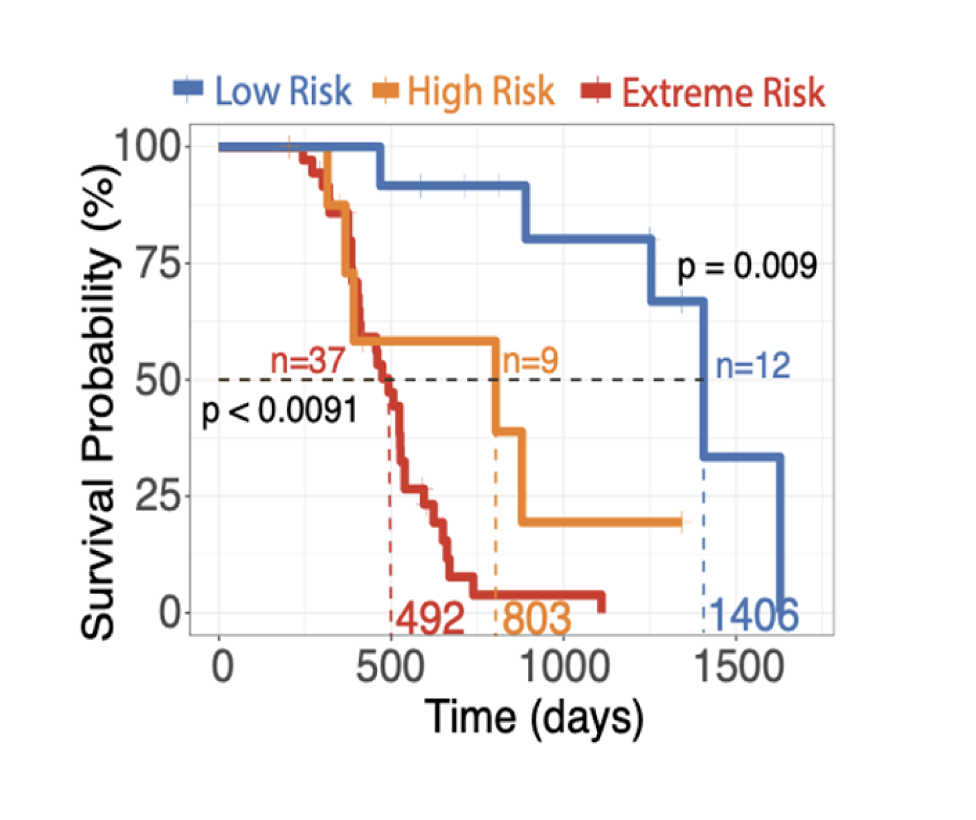 risk_prediction
